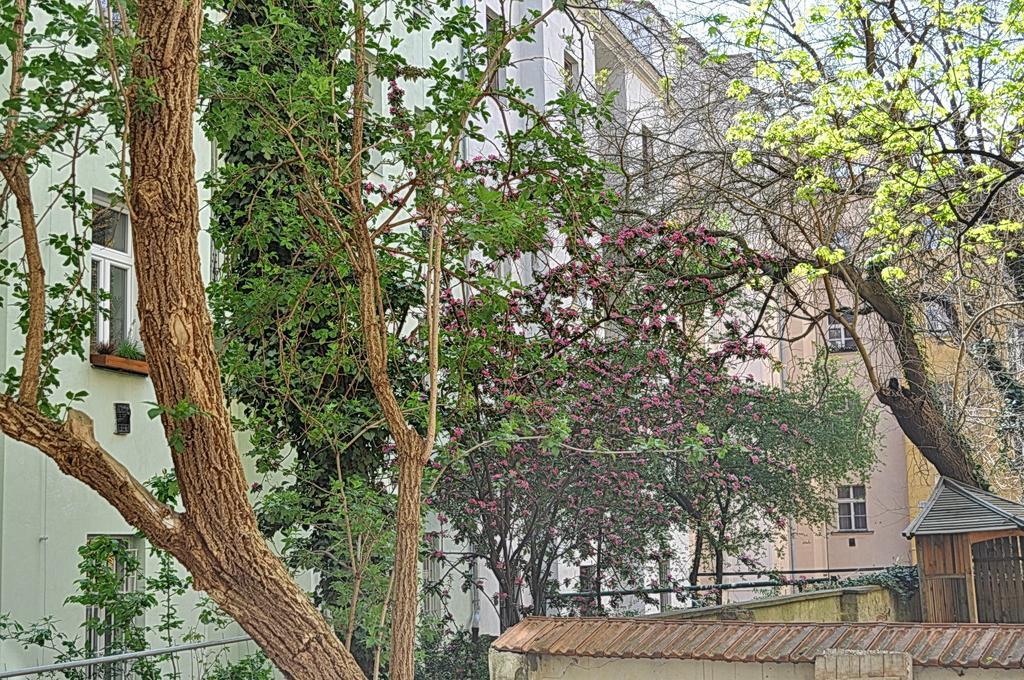 Apartment Na Kozacce 6 プラハ エクステリア 写真
